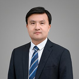 Prof. Feng WANG